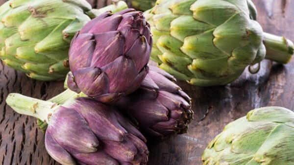 Artichoke - Artichaut - Image 3