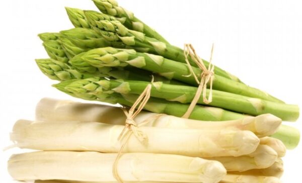 Asparagus - Asperge