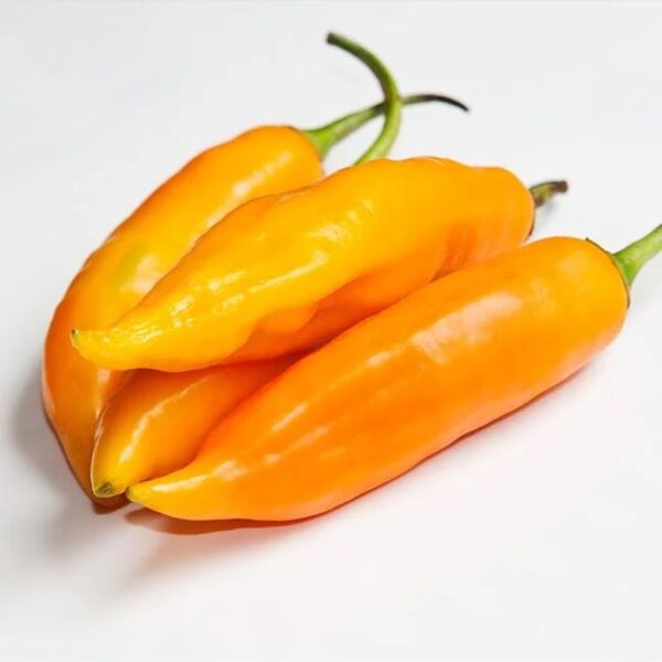 Aji Peppers