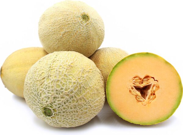 Athena (Cantaloupe)