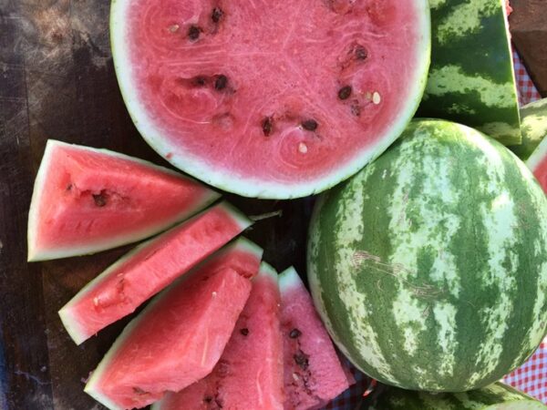 Crimson Sweet Watermelons