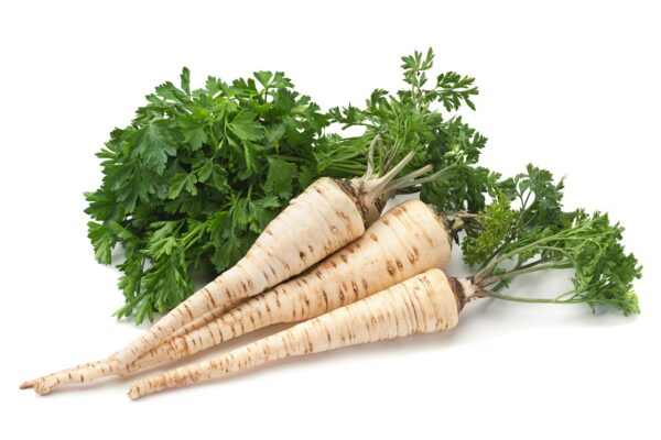 Hamburg(Root Parsley)