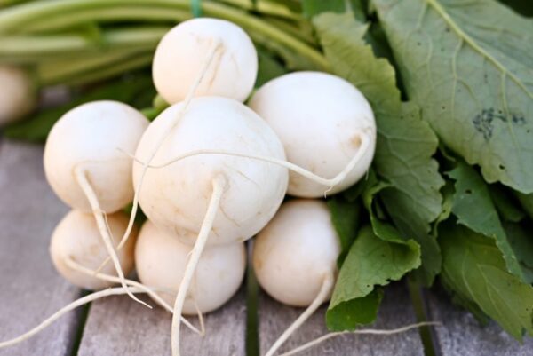 Hakurei Turnip