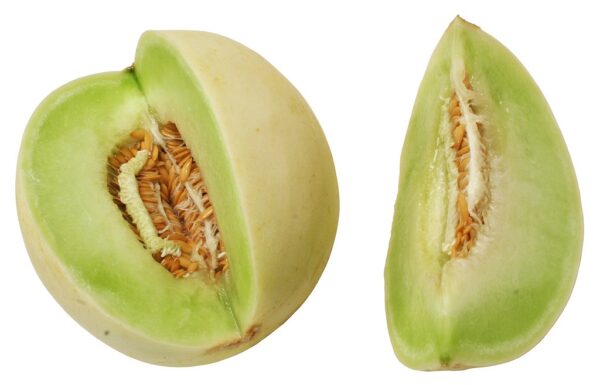 Honeydew Melons