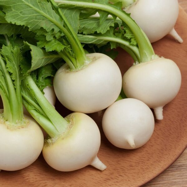 Tokyo Cross Turnip