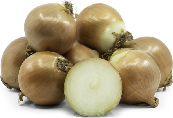 Walla Walla Onion