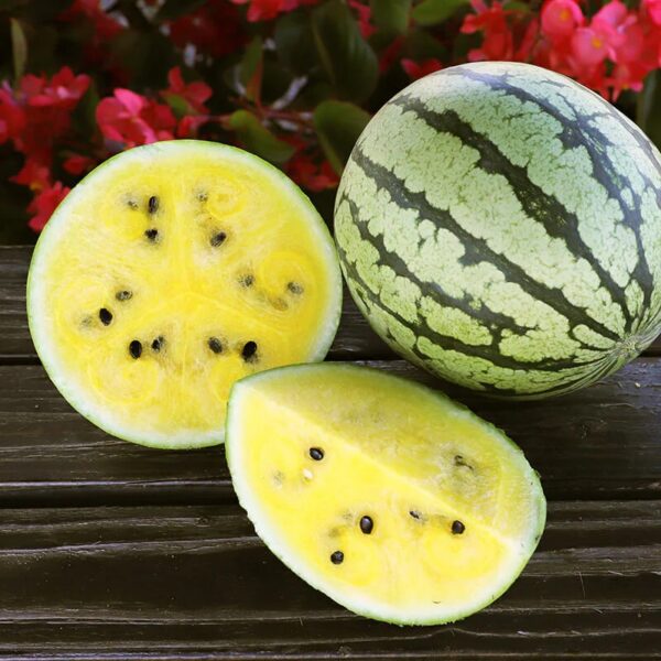 Yellow Doll Watermelon