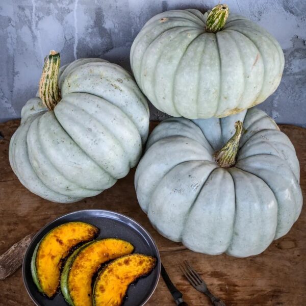 Jarrahdale Pumpkin