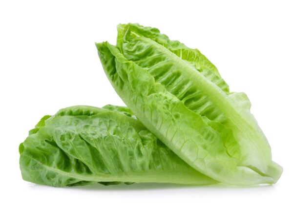 Romaine(COS)